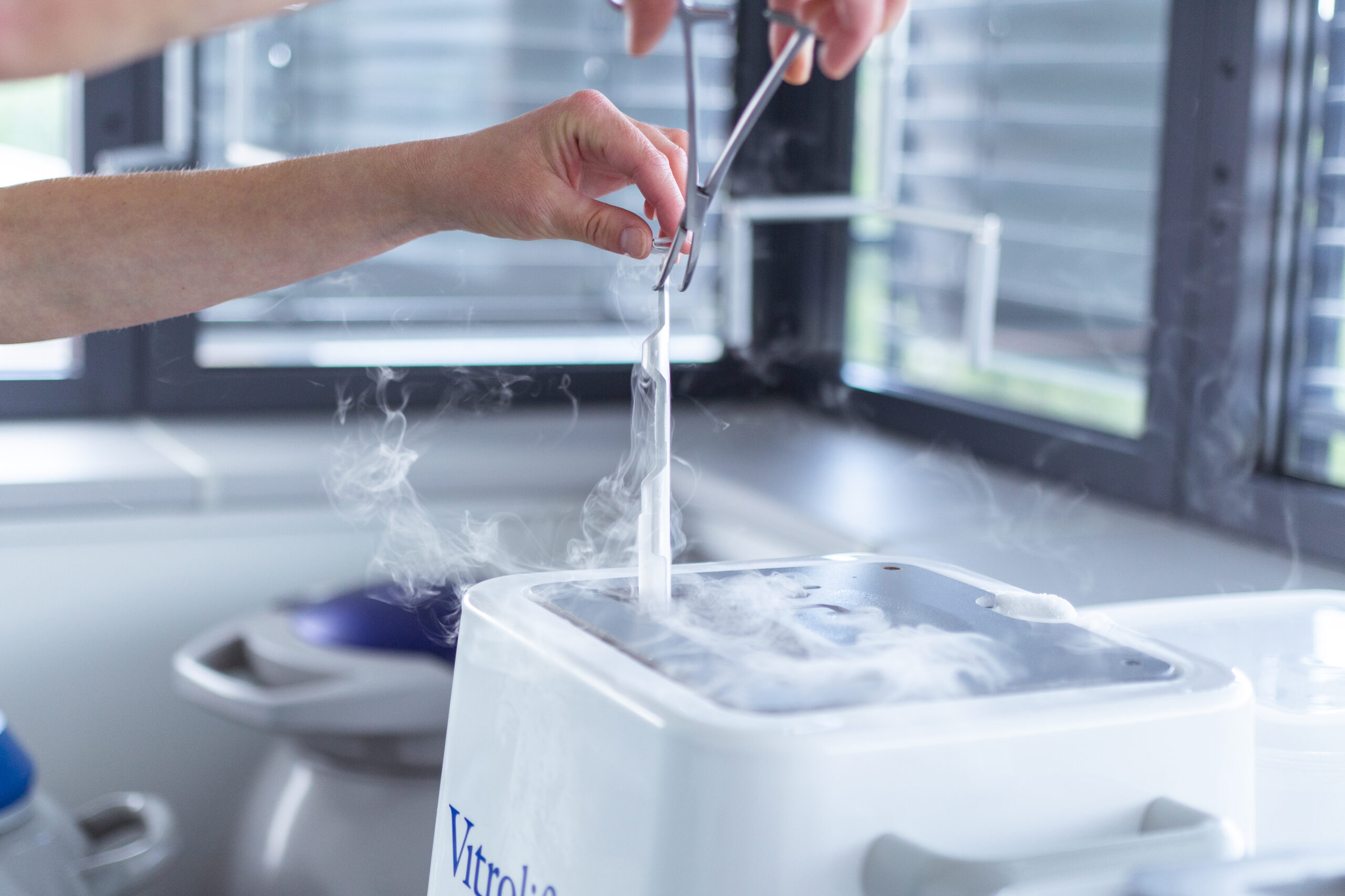 Repromeda: Vitrifikace pohlavních buněk – moderní metoda uchování vajíček, spermií a embryí